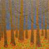 Poppies in the Wood